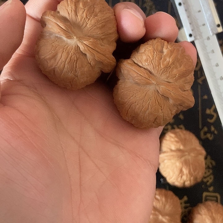 墨***-核桃文玩核桃元宝