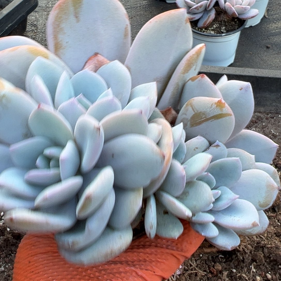 悯***iwulaljkleelklejlulk