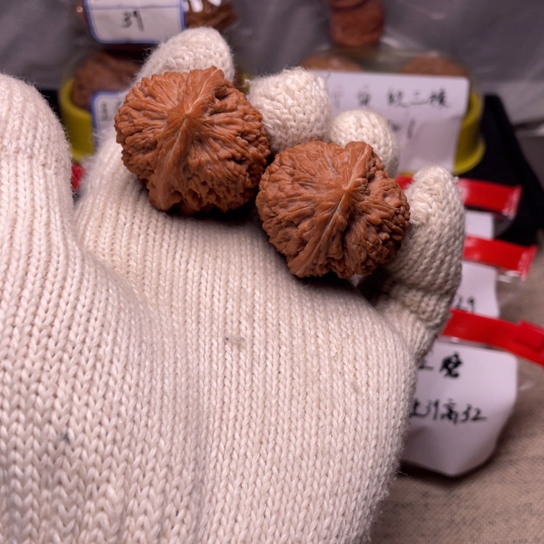 37大蒜头！！！！！！！！