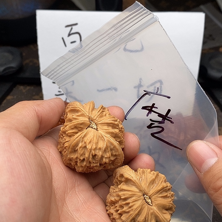 吊坠文玩核桃573537753735537573735