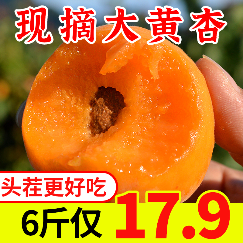 杏子大黄杏带箱2-6斤金太阳新鲜水果山西应季批发头茬当季