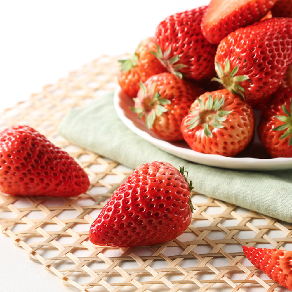 【朝阳|助农】新鲜采摘丹东九九99草莓当季水果香甜饱满
