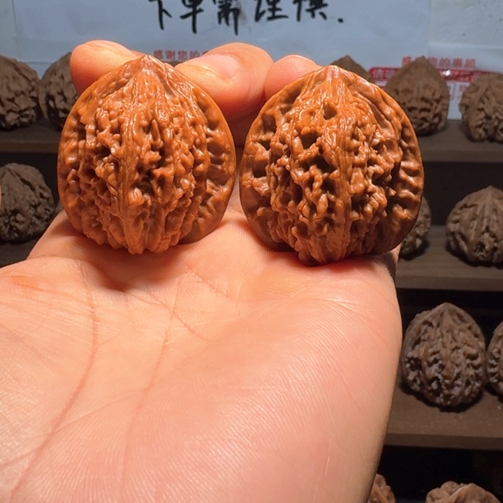 风***后秦岭野生无名核桃
