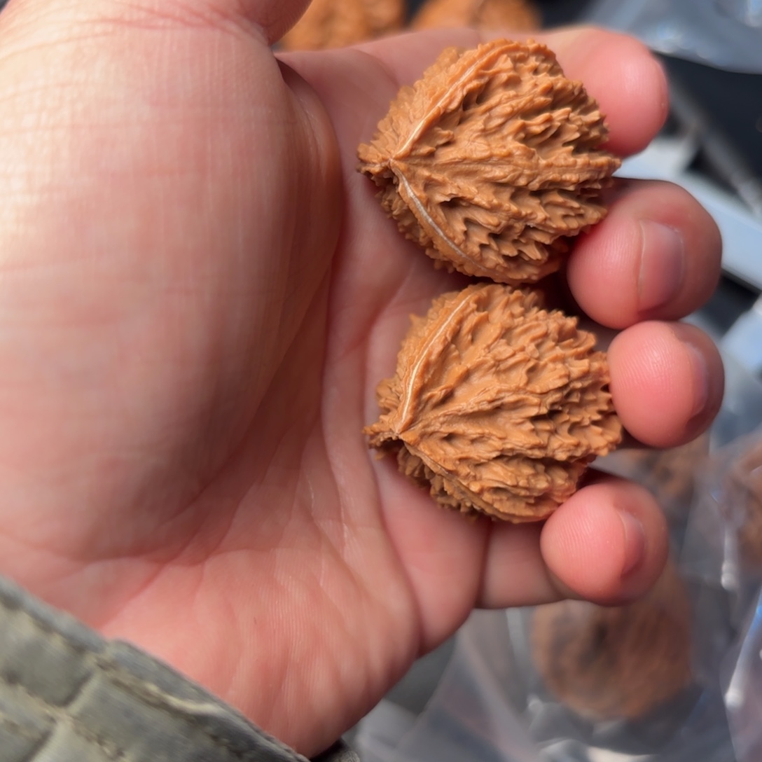 把件文玩核桃95000000