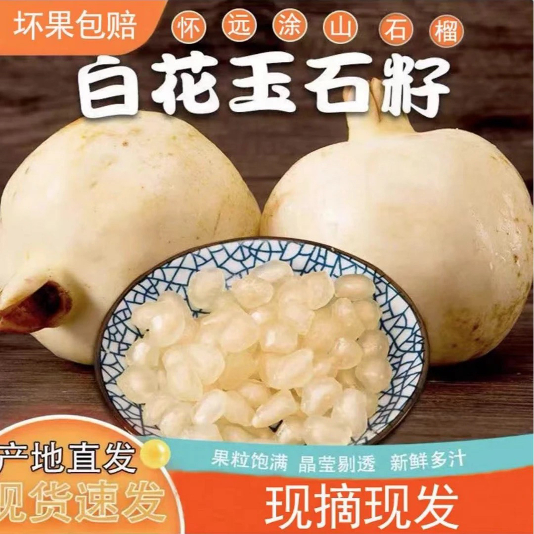 正宗怀远白花玉石籽石榴中果单果重0.5-0.7斤中秋送礼首选
