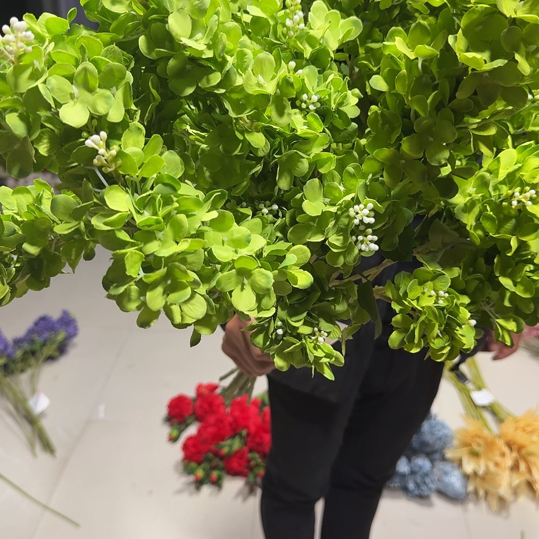 910号绿色紫罗兰10支