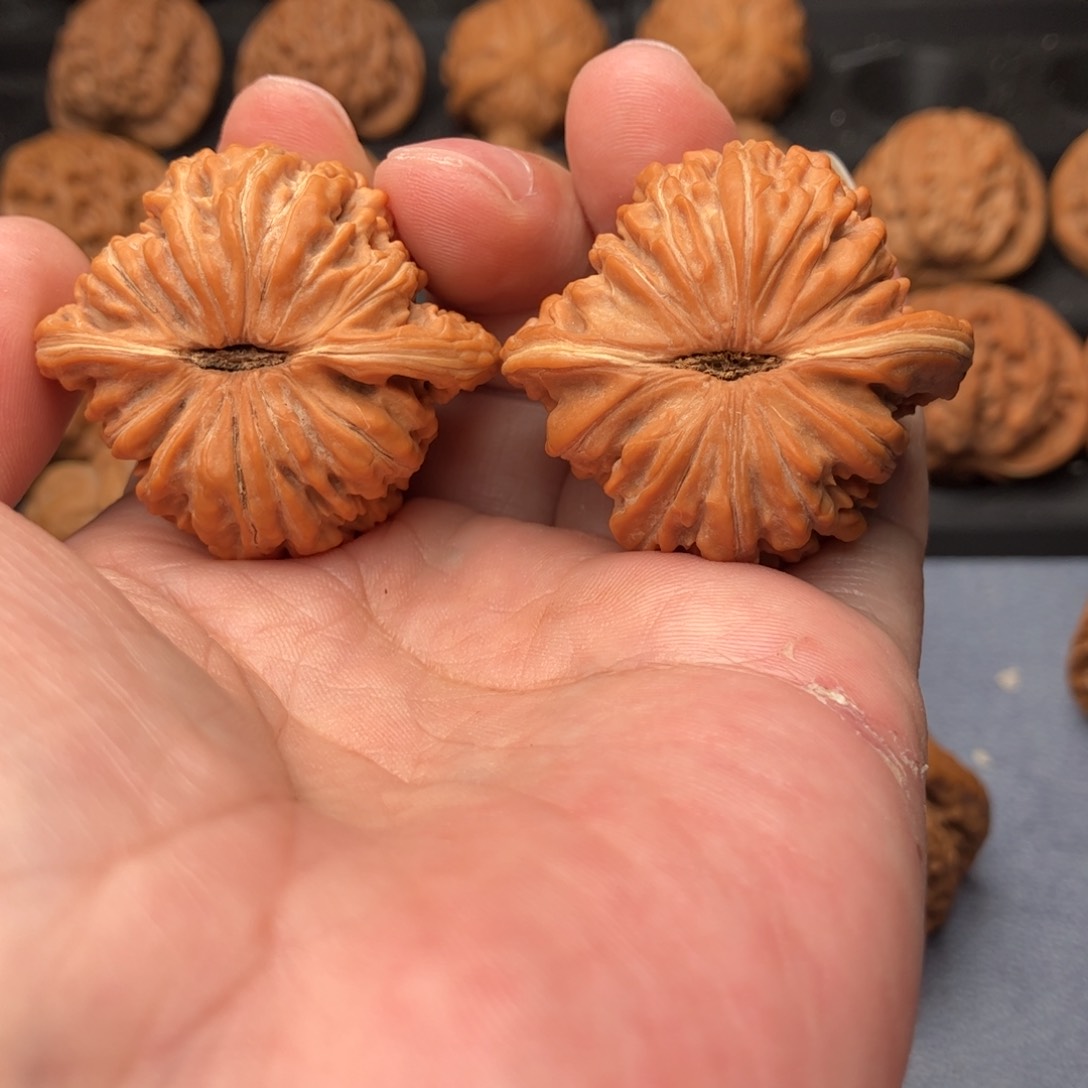 文玩核桃把件汉高楼狮子头