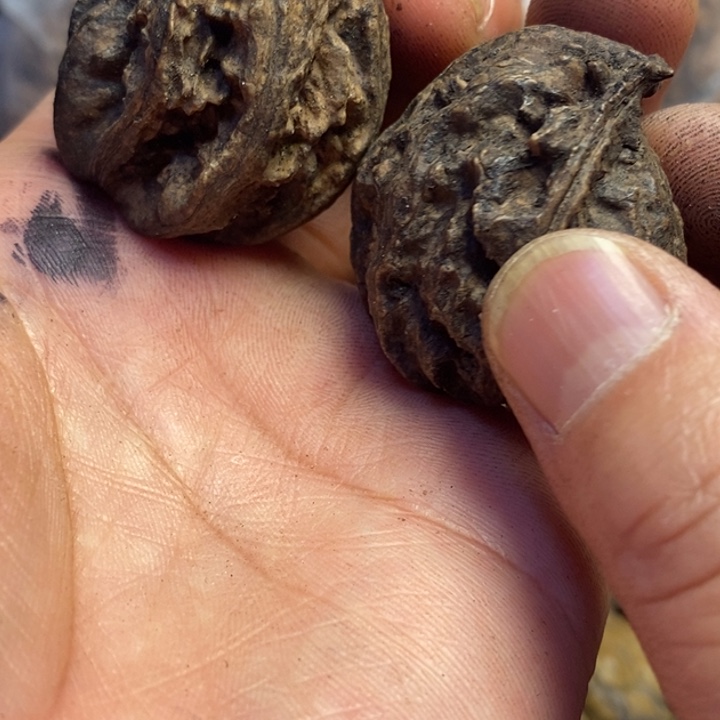 吊坠文玩核桃东北特产129