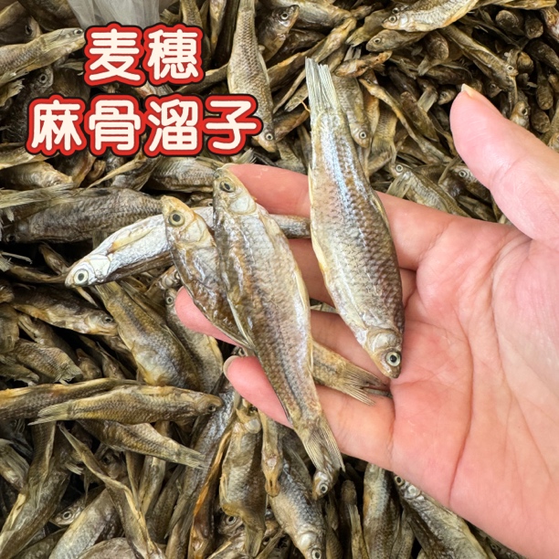淡水鱼麦穗鱼干青青混安徽特色小干鱼