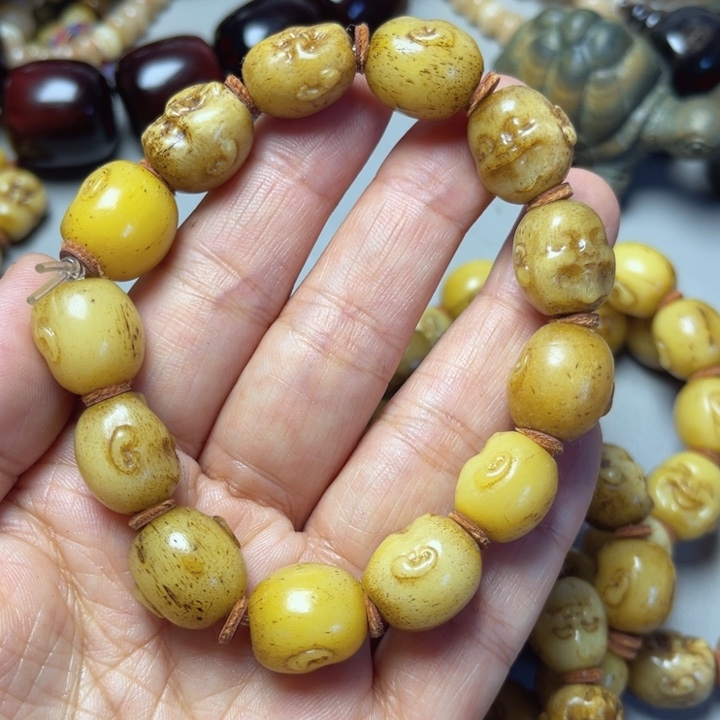 大果紫檀（缅甸花梨）