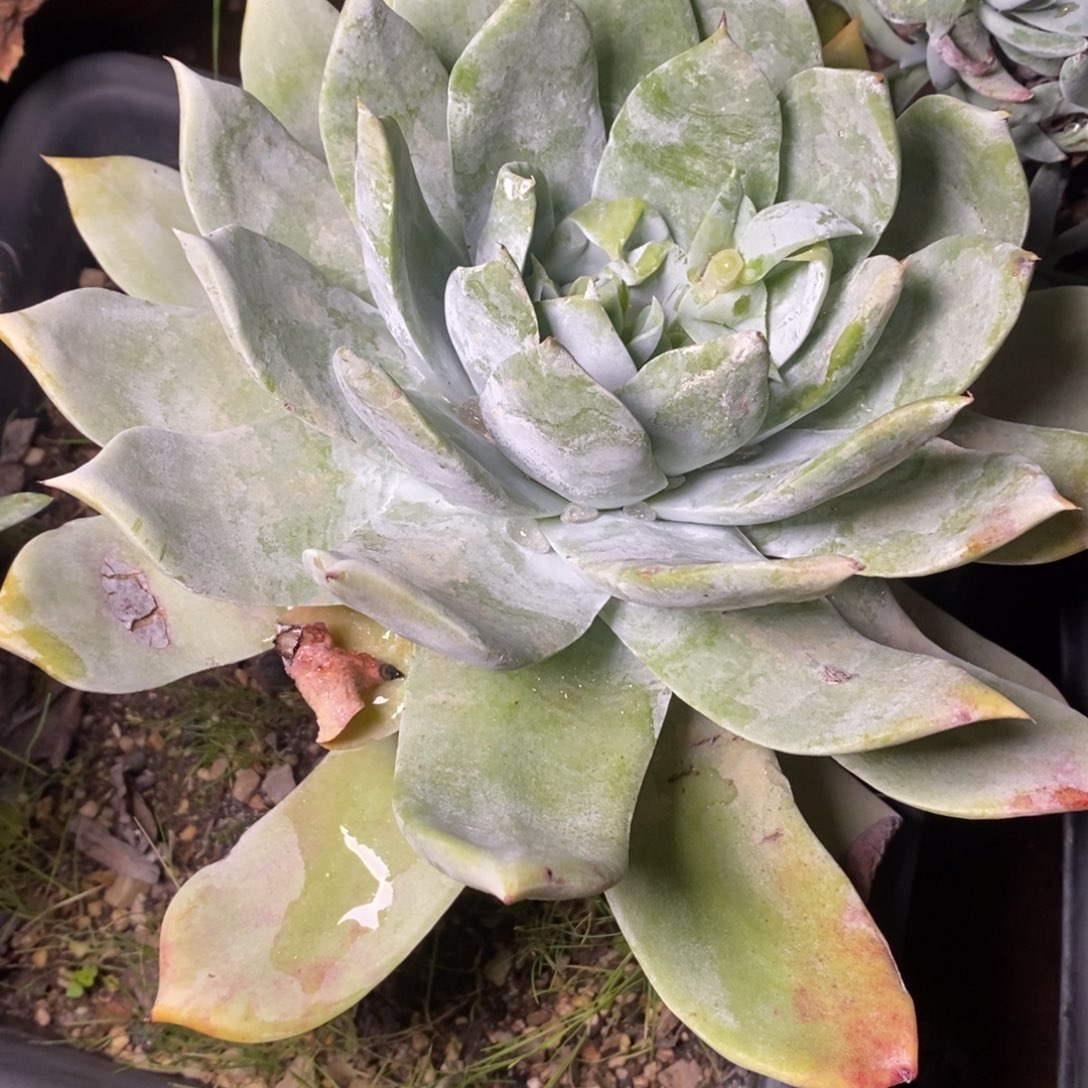 2179哈哈哈哈哈哈哈哈哈哈哈哈哈哈