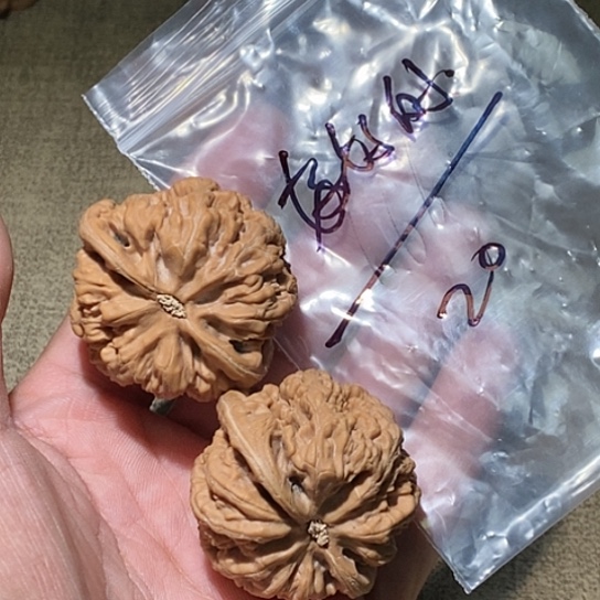 【闪购商品】吊坠文玩核桃好*地