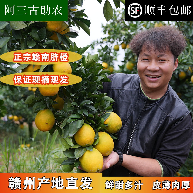 （阿三古助农）10斤5斤装赣南信丰脐橙新鲜水果现摘现发香甜爆汁