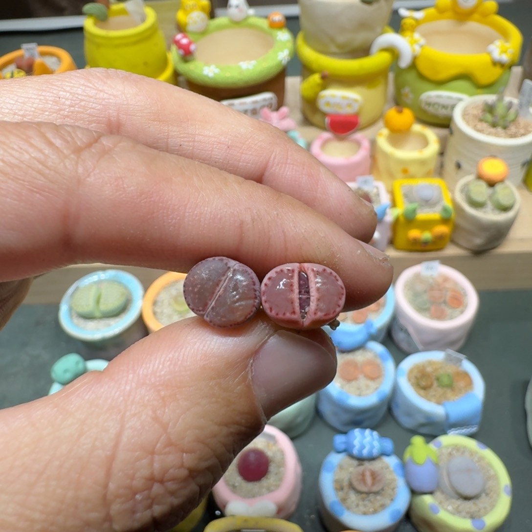 红陶碎***?蘑菇532紫饼