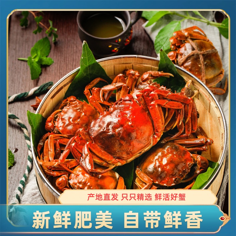 【活蟹】盘锦河蟹 母蟹 1.6-1.4两/只 2斤/3斤 （16-24只）鲜活发货