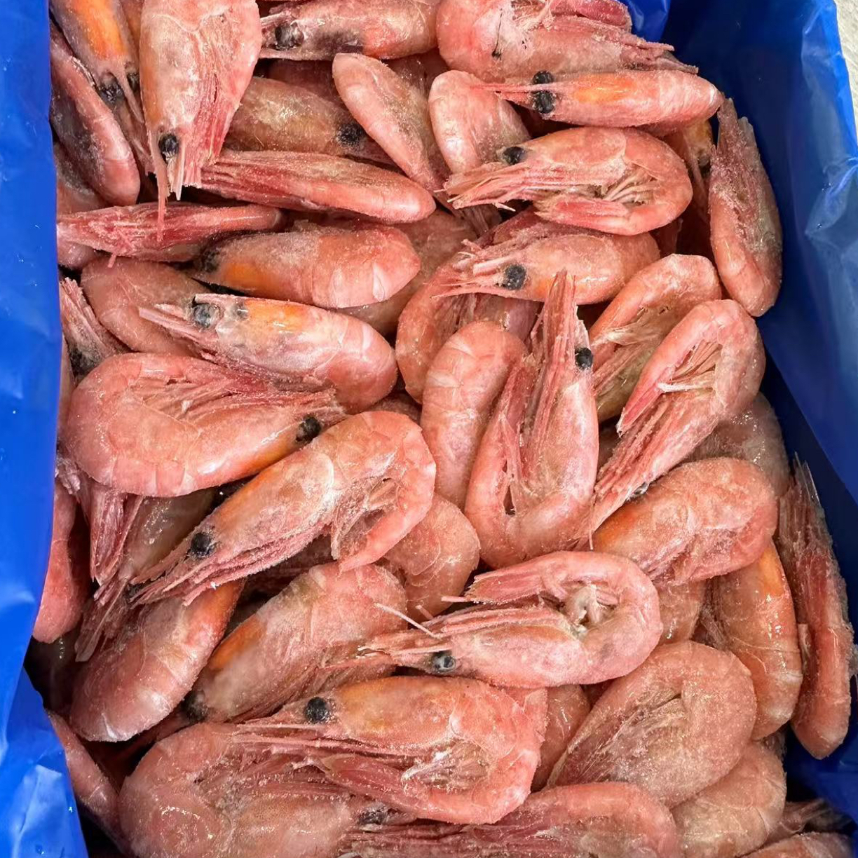 凤姐海鲜*北极熊冰虾60-80净重3斤全头籽无黑头无腹籽