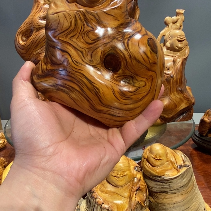 用***0香榧木崖柏等自然景区的景