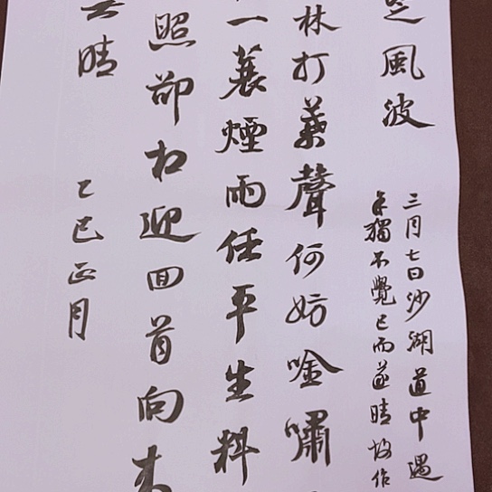 书法张建东老师书法作品
