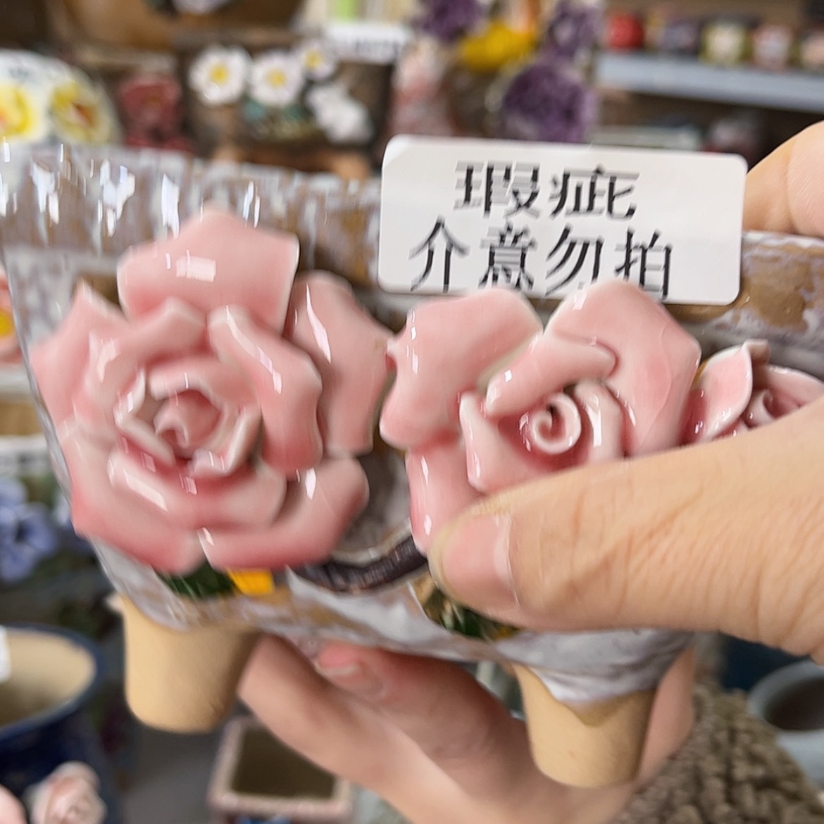 【闪购商品】红陶福利