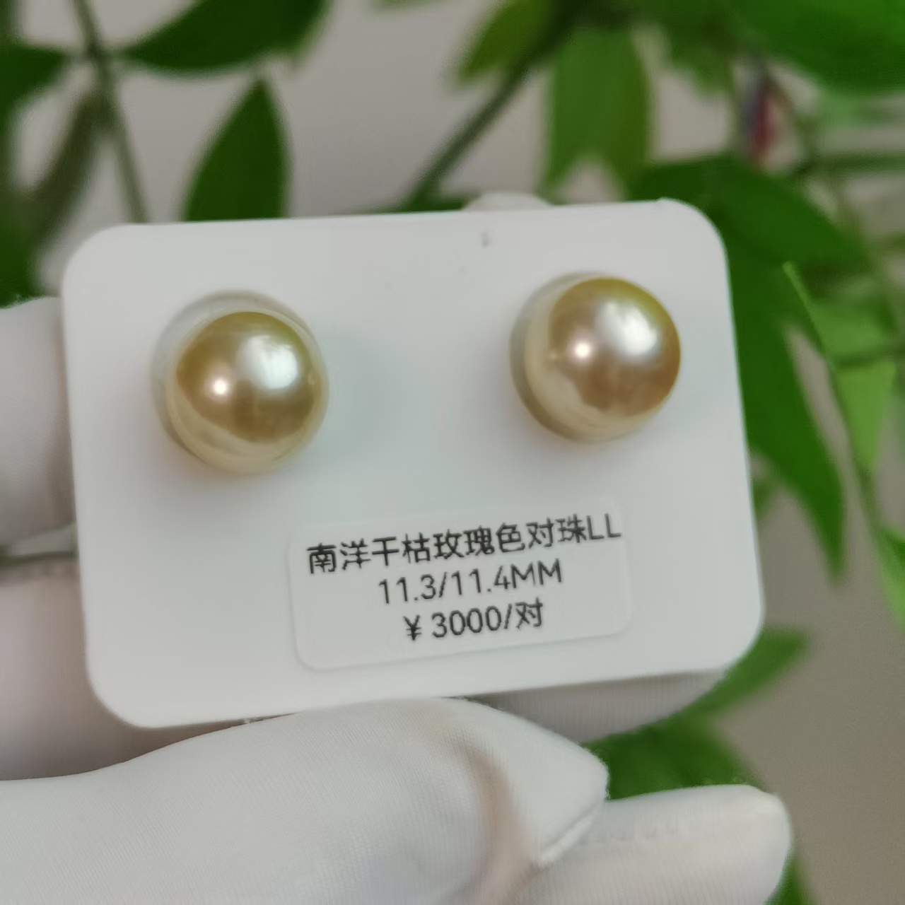 海水珍珠 南洋金珠干枯玫瑰色对珠