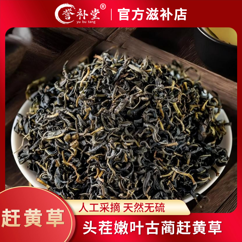 【赶黄草】古蔺头茬赶黄草高山生长采摘无熏自然晾晒养生泡水煮水