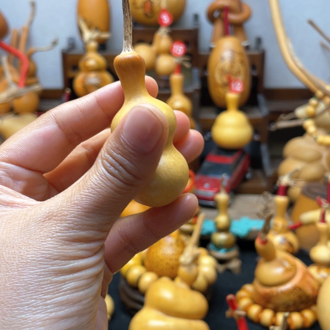 刘****。大自然的秘密是什么呢这
