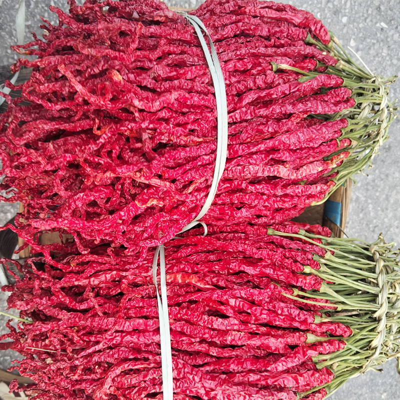 皱皮椒微辣香二荆条辣椒贵州毕节大方特产干辣椒皱椒线椒海椒香辣