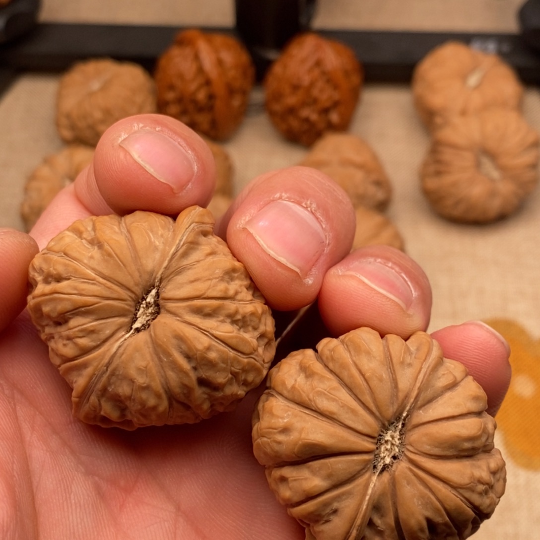 M****南瓜南瓜南瓜南瓜