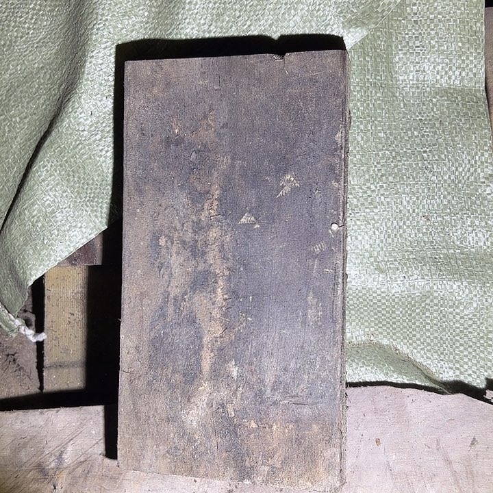 金丝楠啊啊啊啊啊啊啊