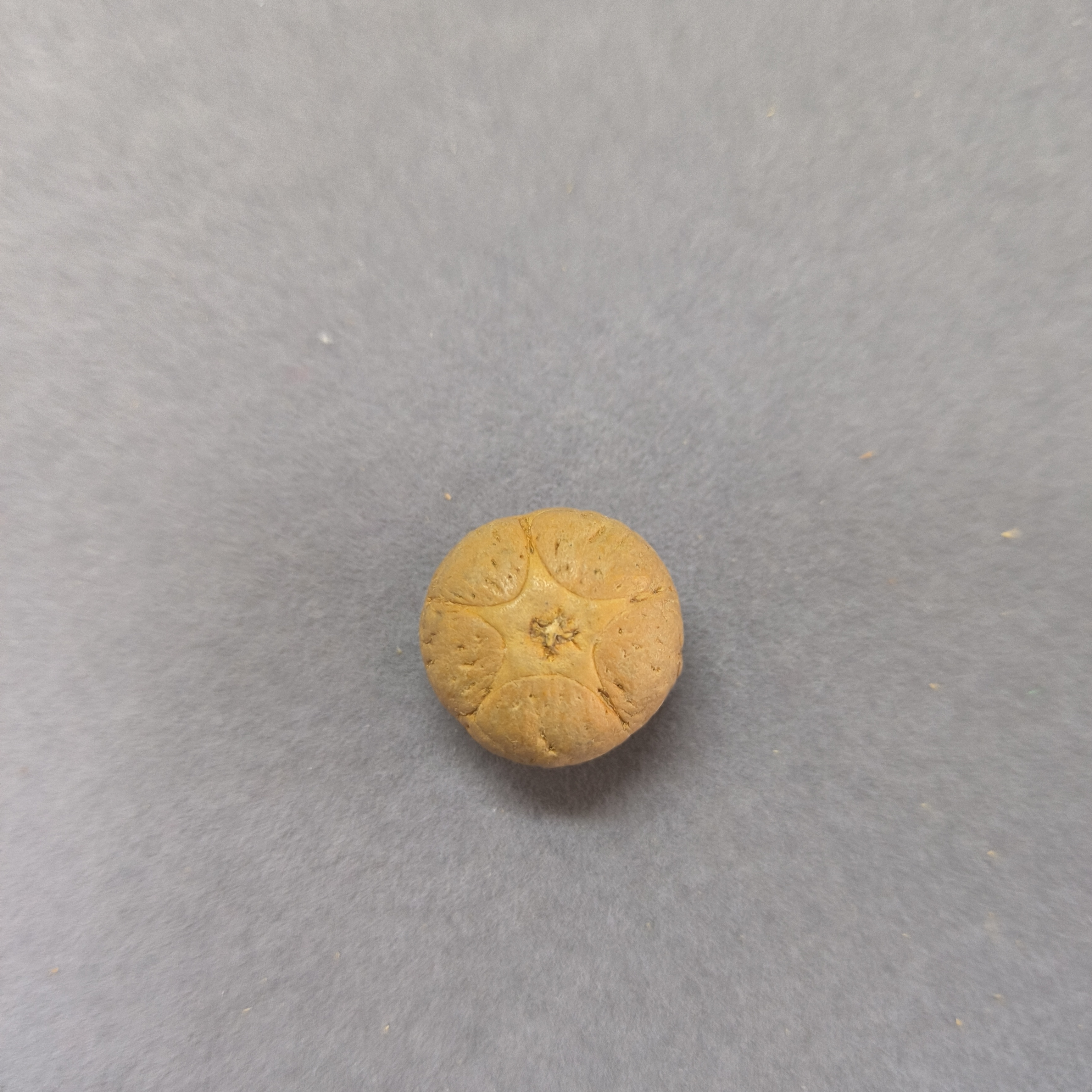 【WF518046】直径18mm厚13mm五星单颗尼泊尔凤眼菩提