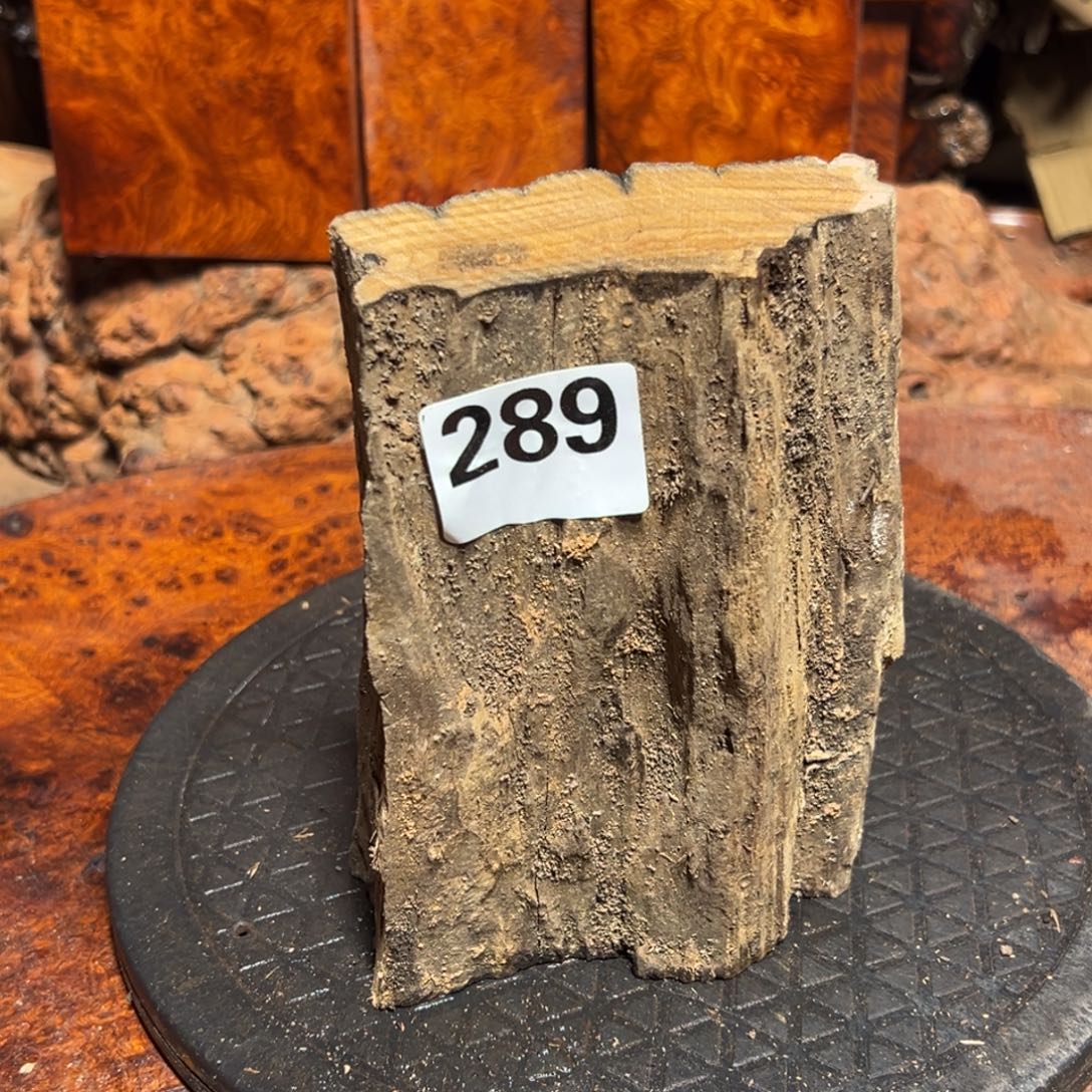 清***光大果紫檀（缅甸花梨）