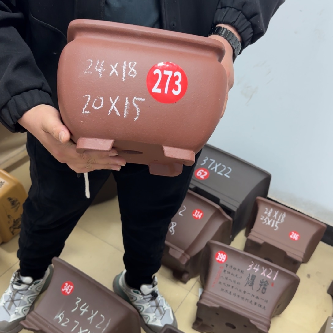 紫砂花盆我呜呜呜呜呜呜