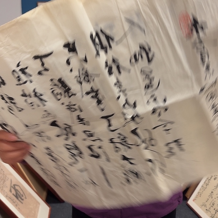 国画国**兴手绘作品欣赏45