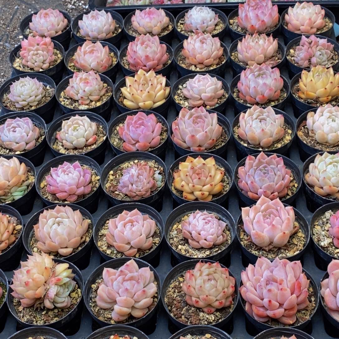 307的人在一起的