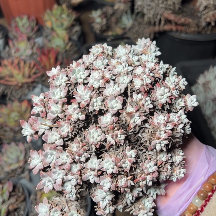 787哈哈哈哈哈哈哈哈