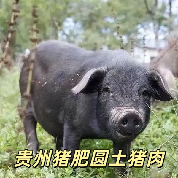 贵州土黑猪肉 一物一拍（顺丰冷链）