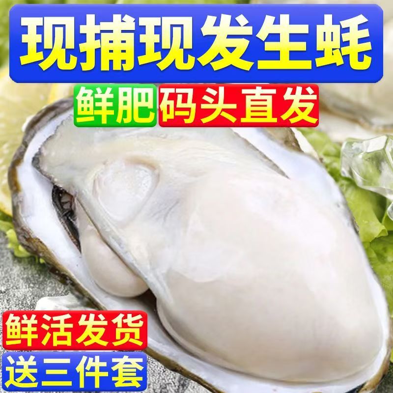 乳山产地顺丰直发带标牡蛎生蚝买8斤送2斤到手10斤单只7两-1斤