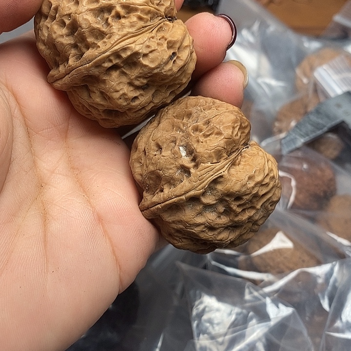 文玩核桃把件101号44mm