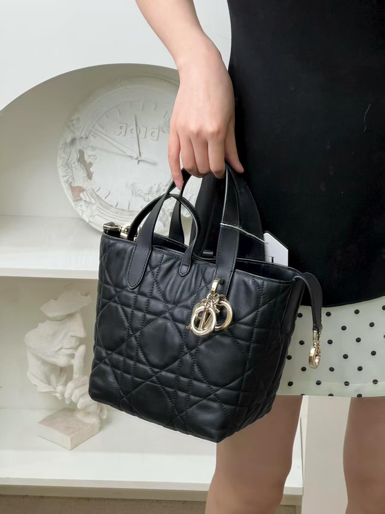 99新 DIOR/迪奥 toujours小号竖版/99新/优选