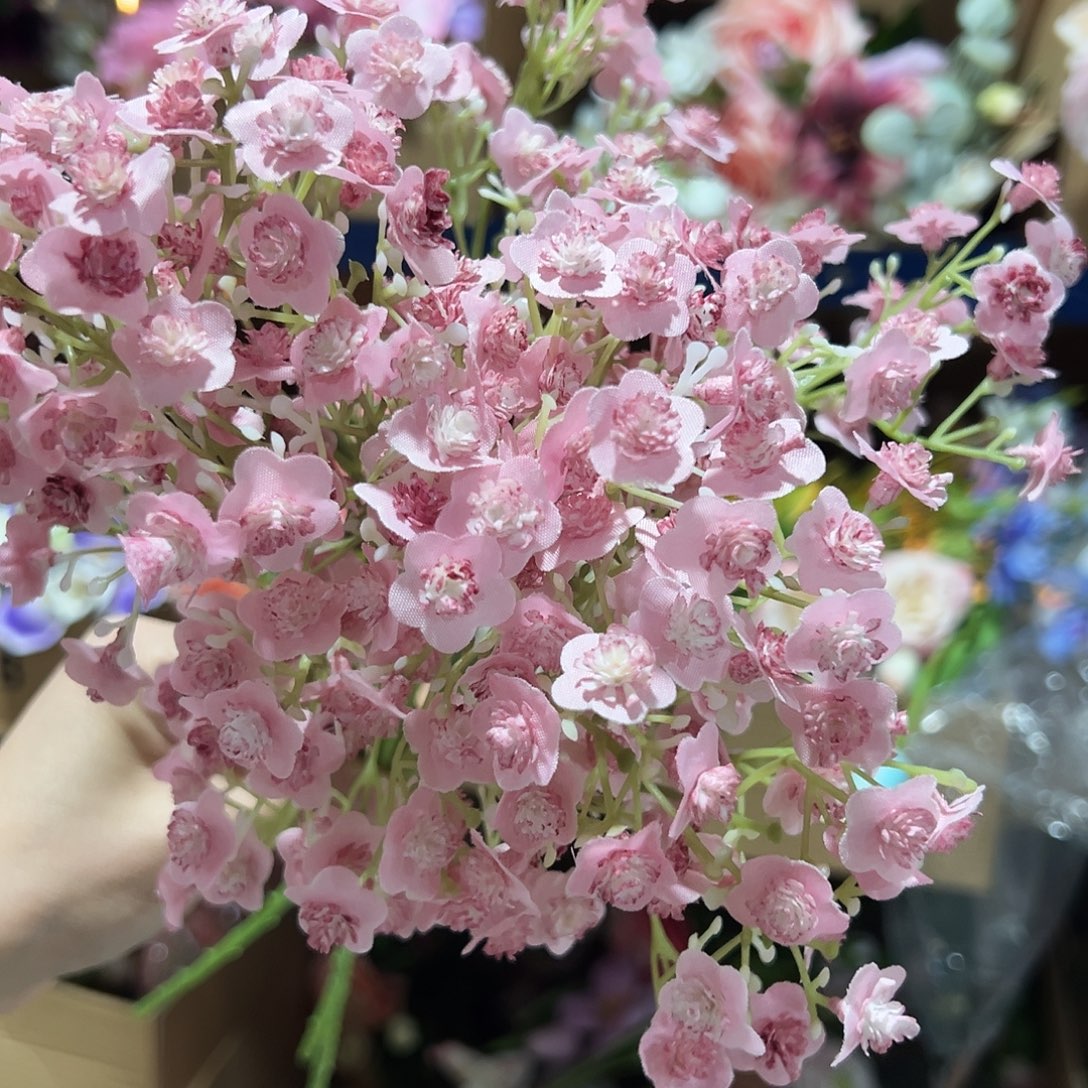 3枝粉色满天星。       