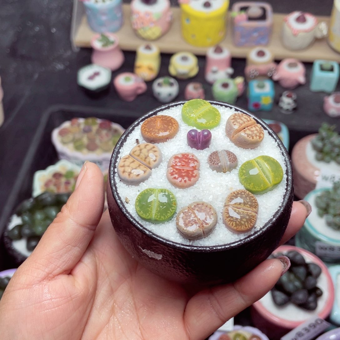 w8502 带盆土发货-零下地区拍保温箱