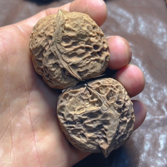 文玩核桃把件20号半壁卡40