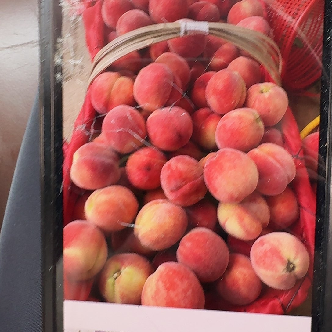 脆桃5斤中国大陆