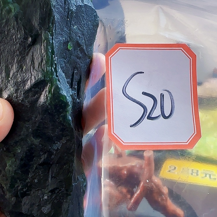 简***人蛇纹石玉未镶嵌天然岫玉