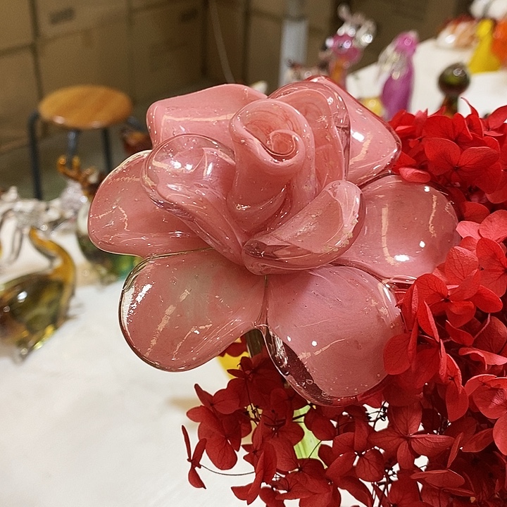 夜光花高45厘米左右