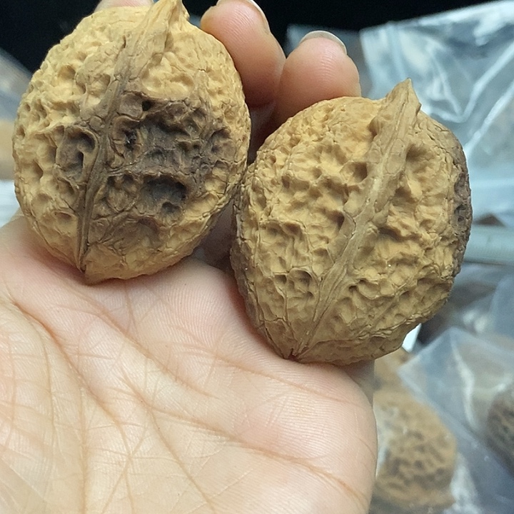 木质类云南铁核桃基地6