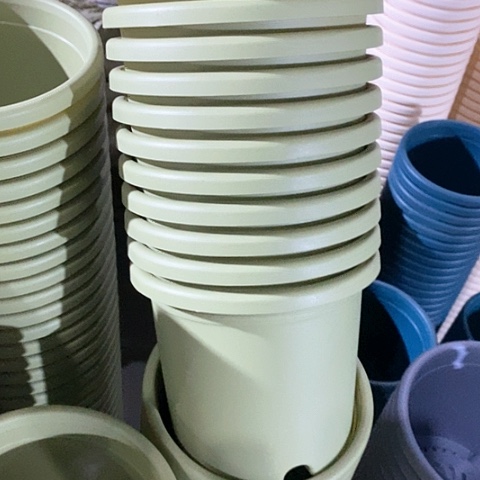 树脂四季2号12个无托果绿