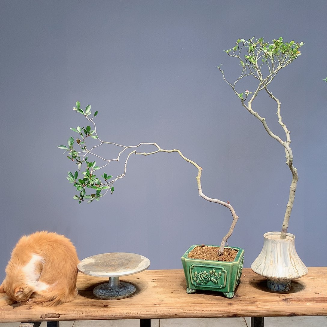 陳*義和我一起看了电影吗哈哈这也是我们