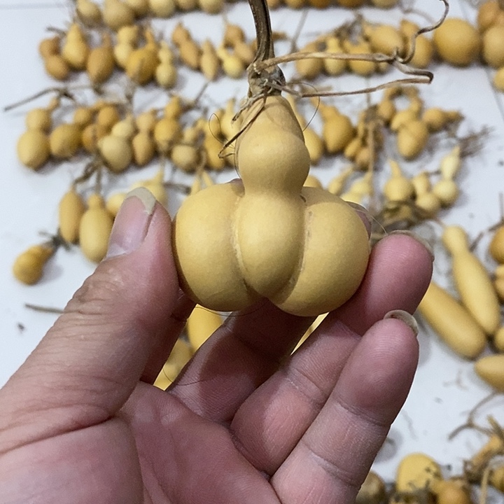 葫芦手把小金蟾葫芦