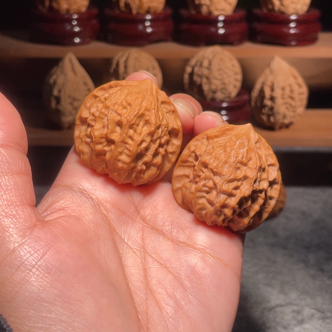 其他核桃金狼全品野生37